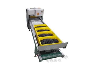 自動進出輸送係統 光學篩選設備的輸送係統 自動輸送物件